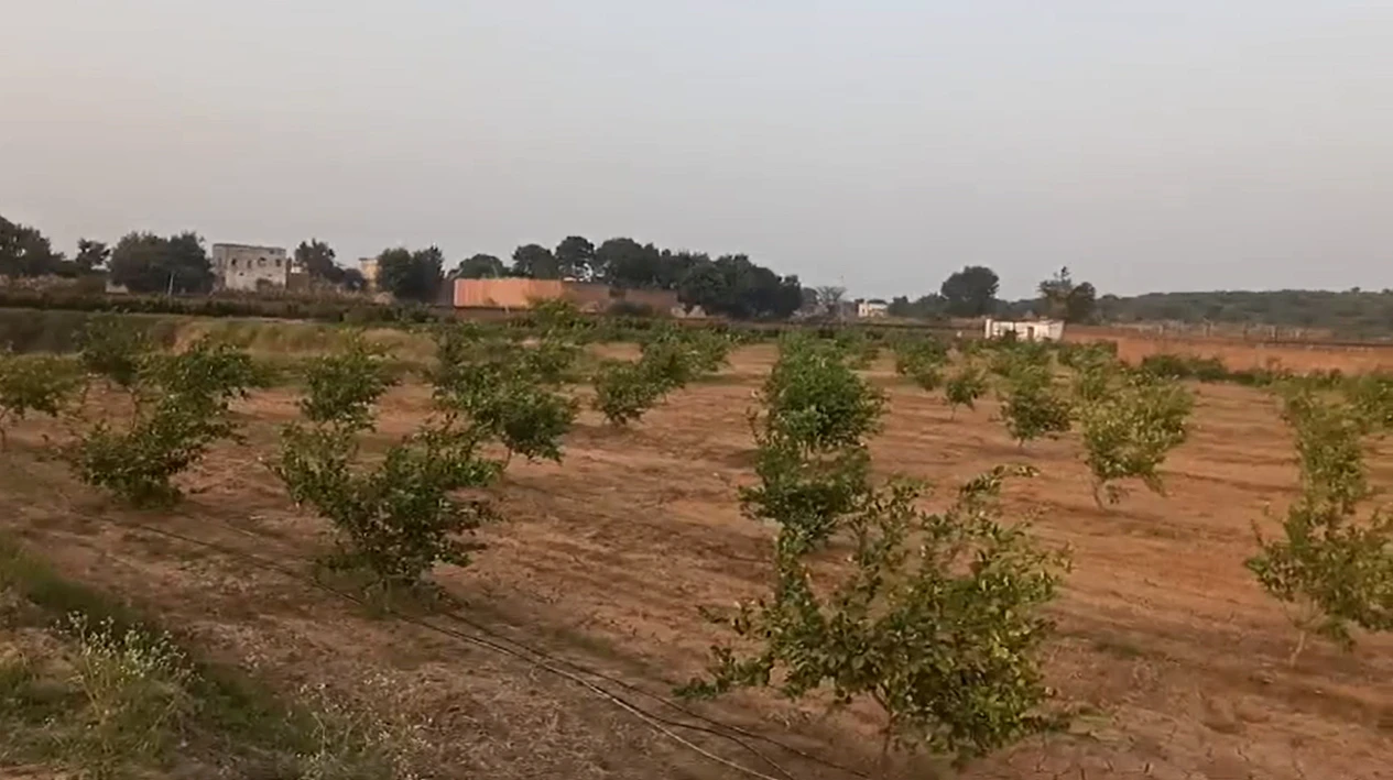 Talao, Haryana 124103, India