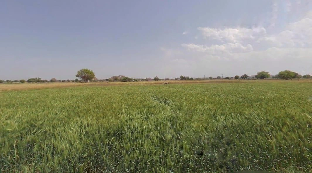 Basai Kalan, Rajasthan, India