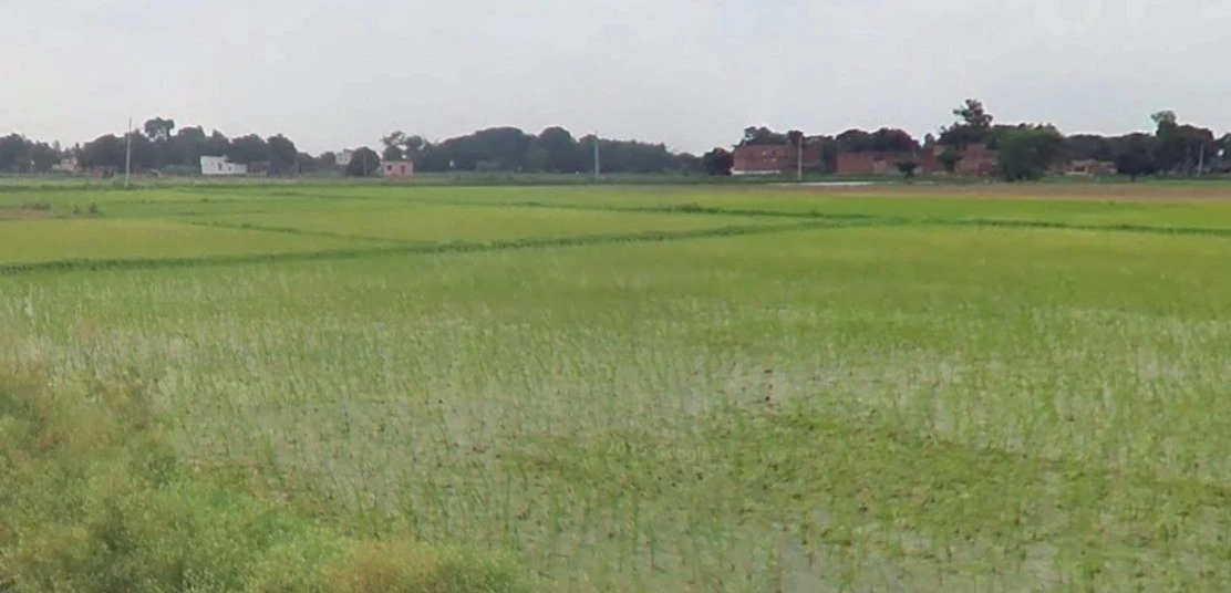 Nand, Madhya Pradesh 471525, India