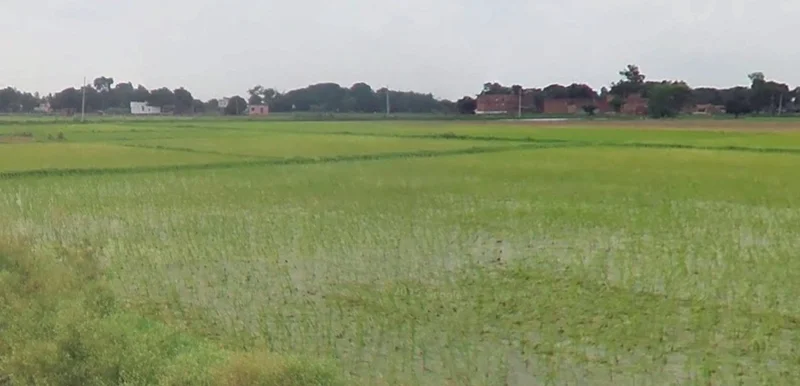 Nand, Madhya Pradesh 471525, India preview 2