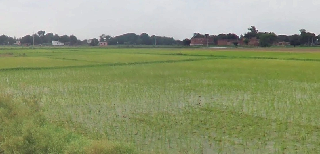 Nand, Madhya Pradesh 471525, India