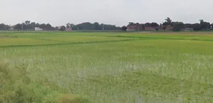 Nand, Madhya Pradesh 471525, India preview 2