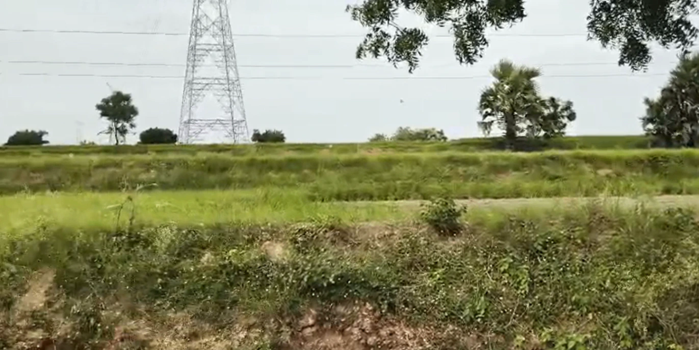 CFQ5+77G, Nagarkurnool - Lingal Rd, Telkapally, Telangana 509385, India