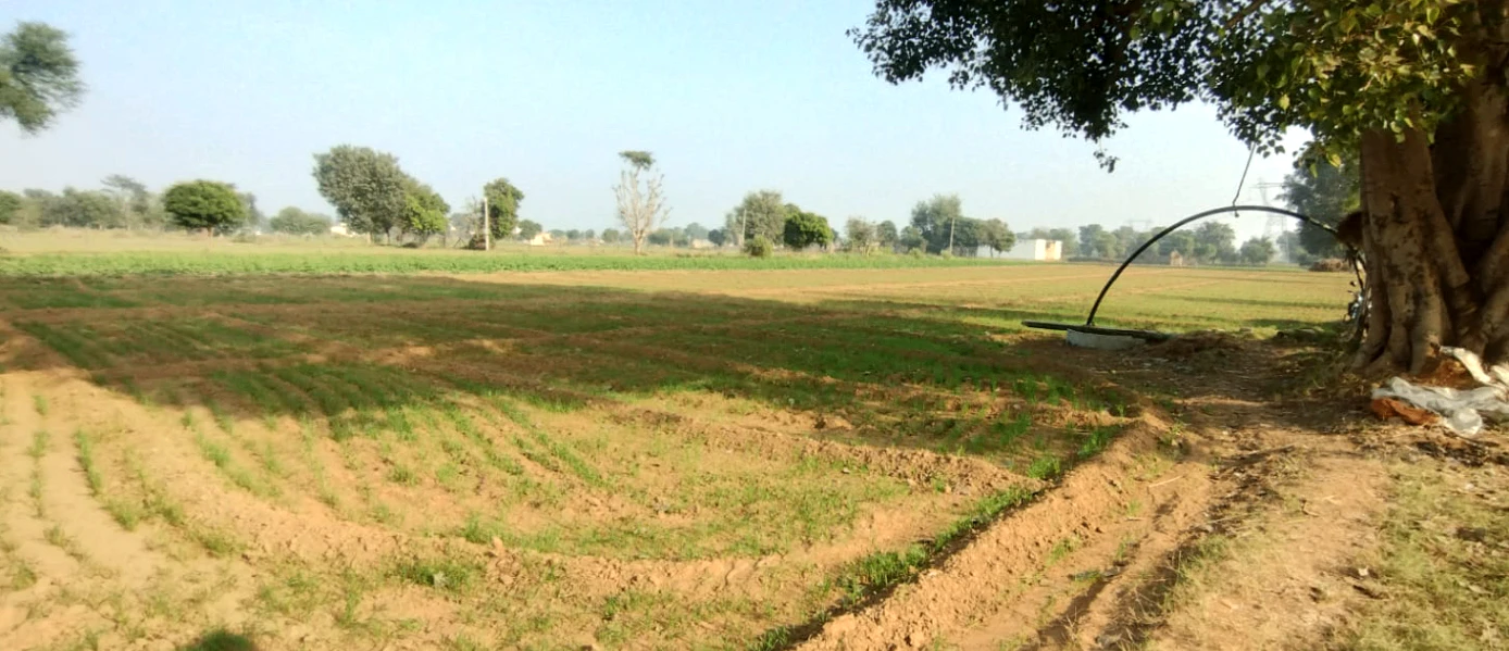 Banur, Punjab, India