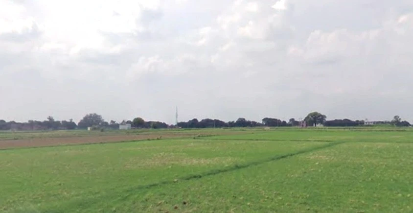 Alli, Madhya Pradesh 464551, India