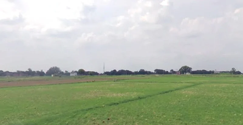 Alli, Madhya Pradesh 464551, India preview 2