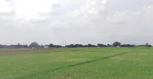 Alli, Madhya Pradesh 464551, India preview 2