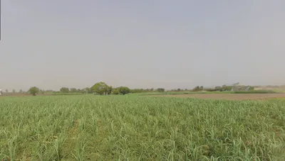 Gohana, Haryana 131301, India preview 3