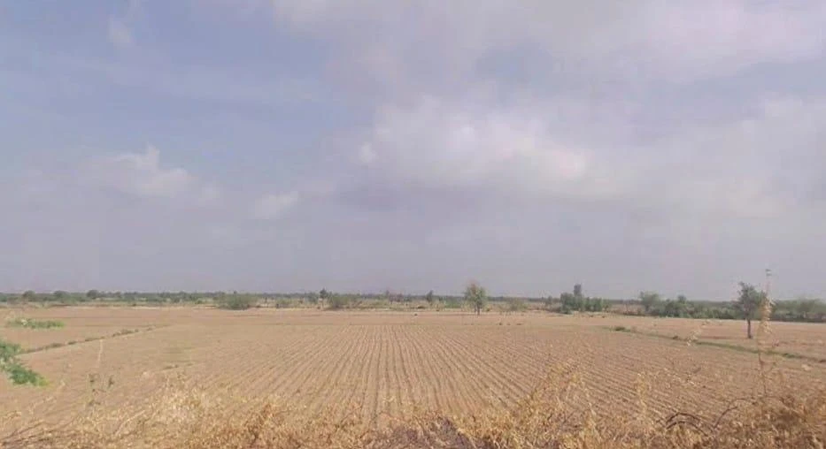 Keerwa, Rajasthan 306422, India