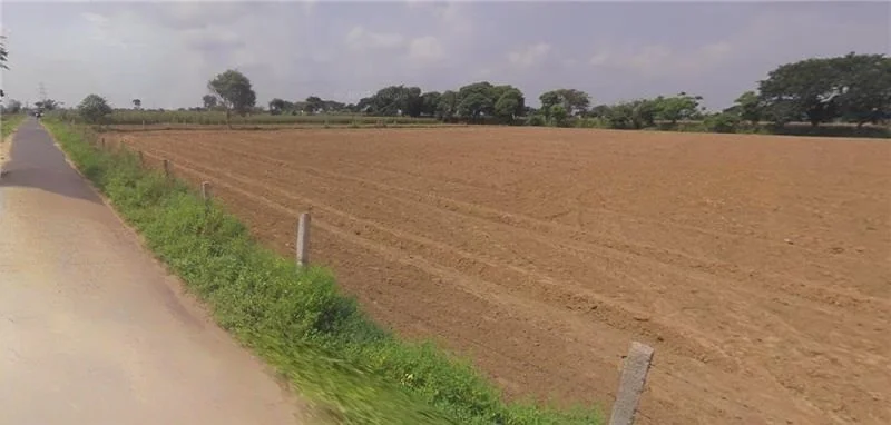 Sirsa, Haryana, India preview 2