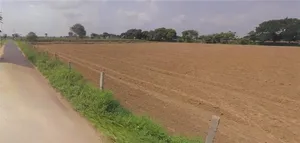 Sirsa, Haryana, India preview 2