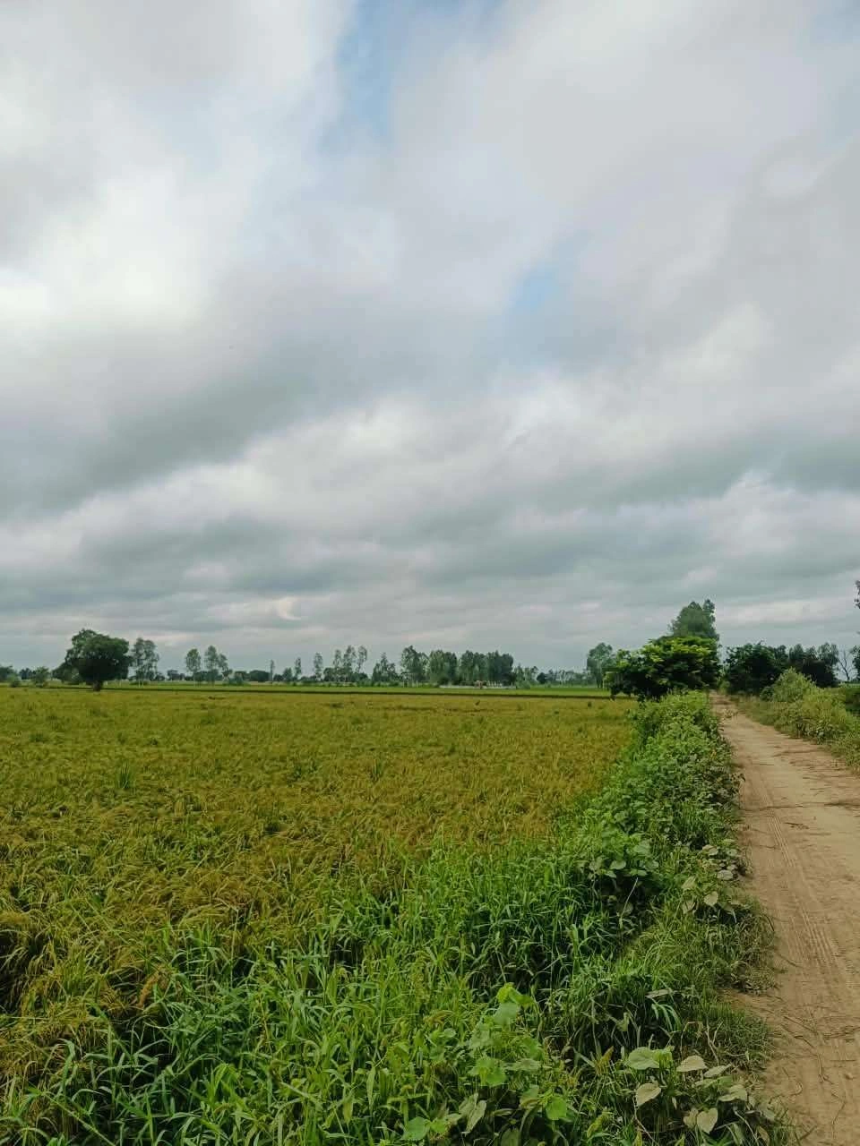 Malhu, Mathura, Uttar Pradesh 281123, India