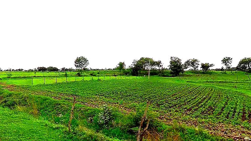 Duraha, Madhya Pradesh 466661, India preview 3