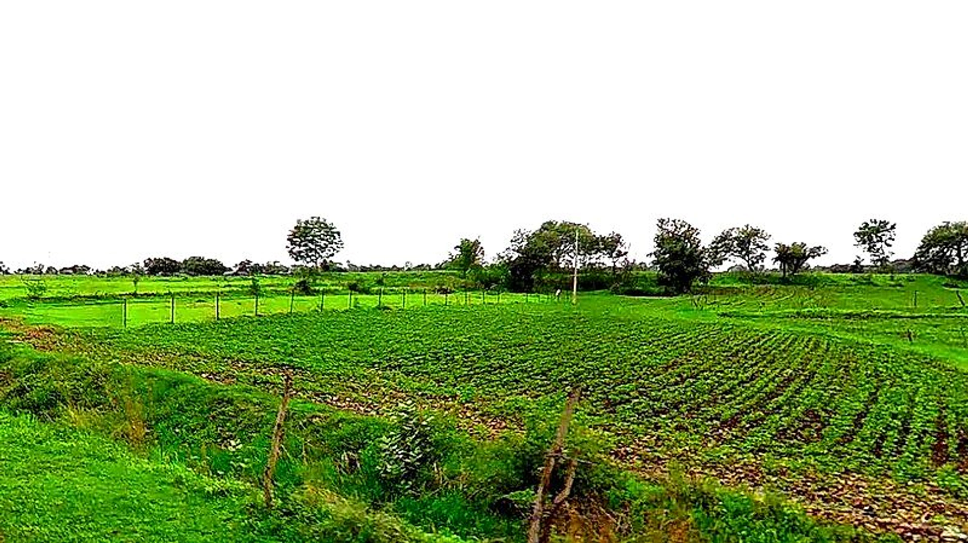 Duraha, Madhya Pradesh 466661, India