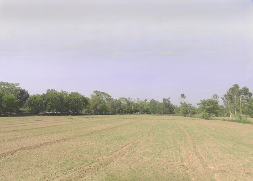 Alamnagar, Uttar Pradesh 245208, India