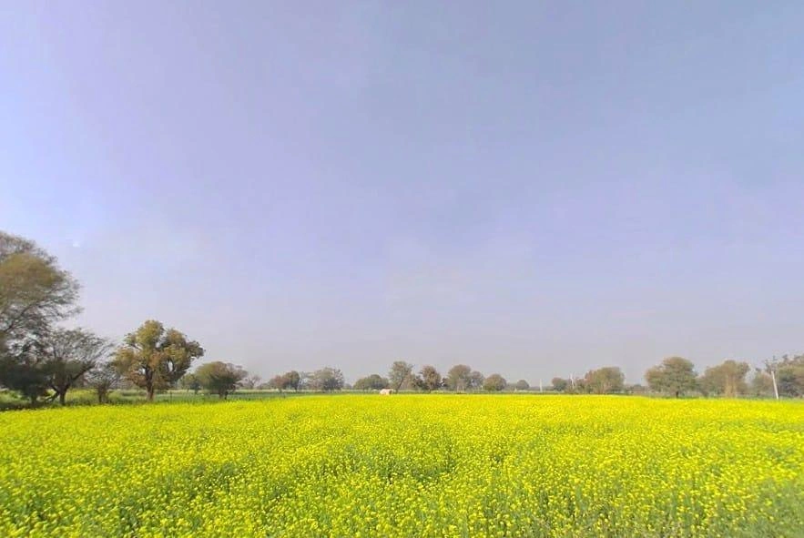 Malawali, Rajasthan 321633, India