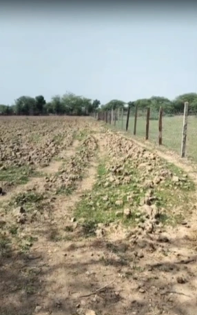 493, Sector 31, Gurugram, Haryana 122001, India