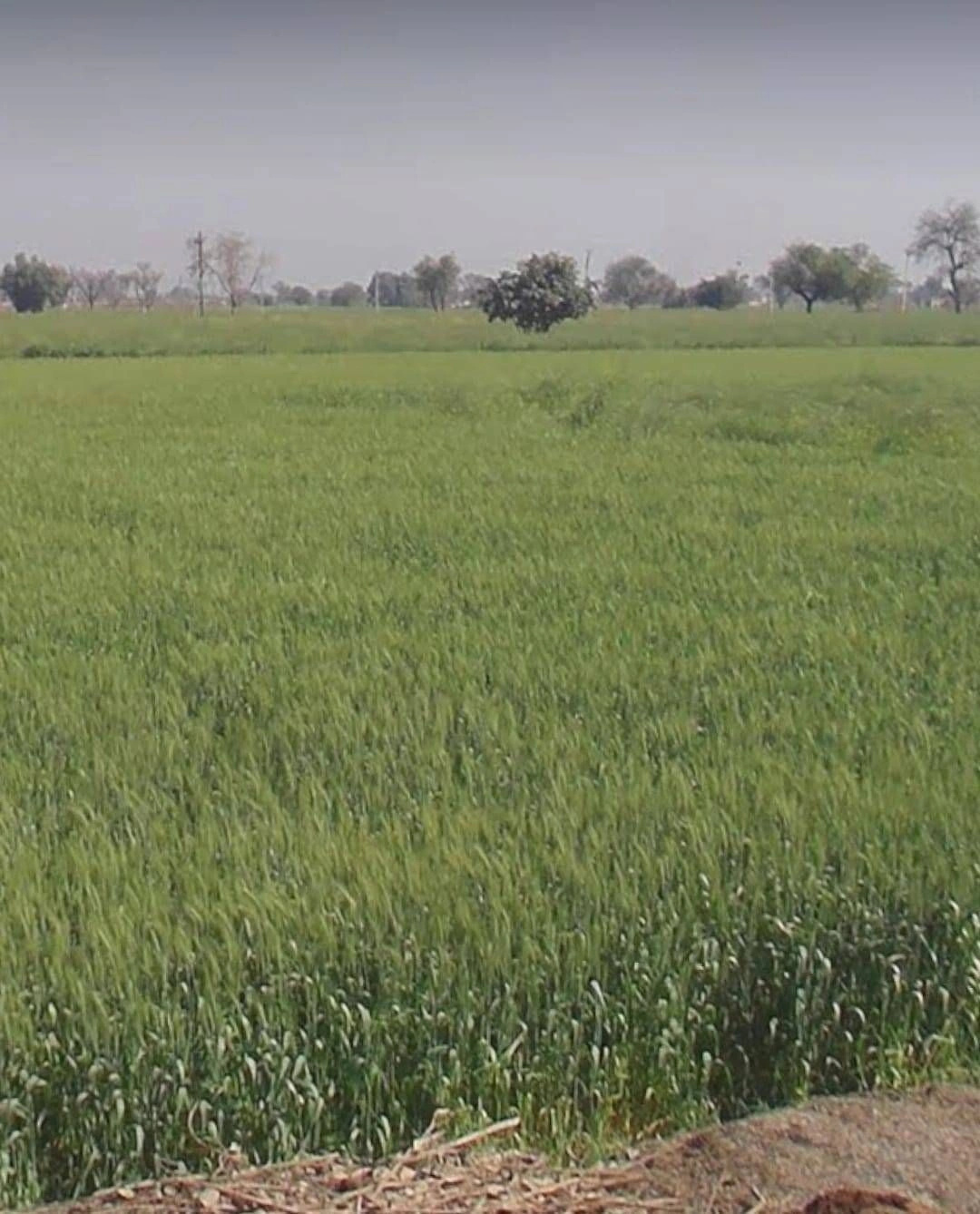 Khori, Rewari, Haryana 123101, India