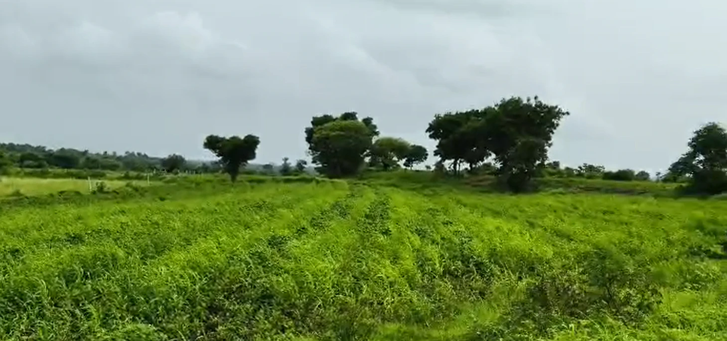 GQR9+4WH, Vikarabad, Marpalle Kalan, Telangana 501202, India
