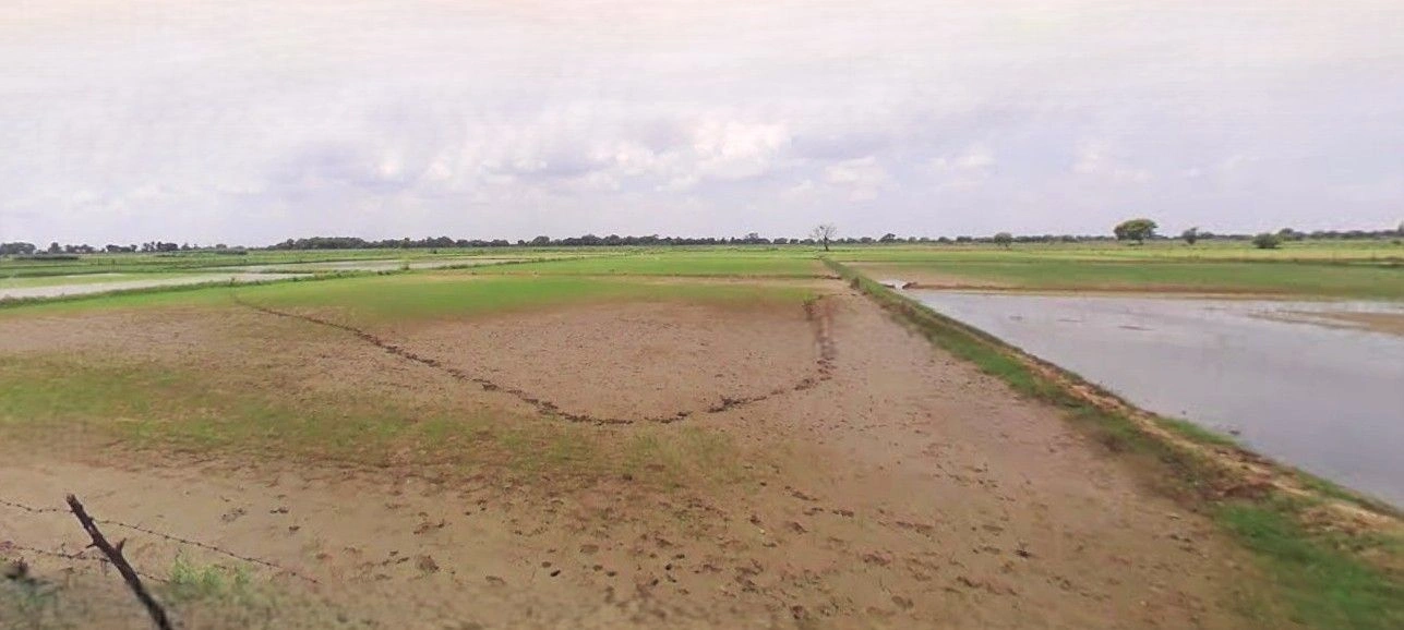 Deoband, Uttar Pradesh 247554, India preview 2