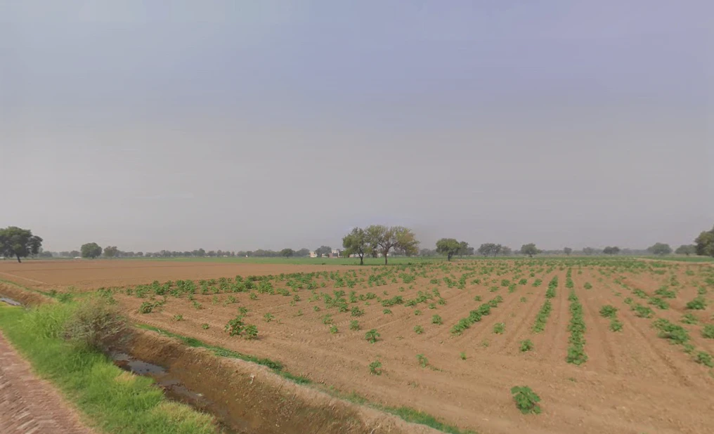 Khabran Kalan, Haryana 125053, India