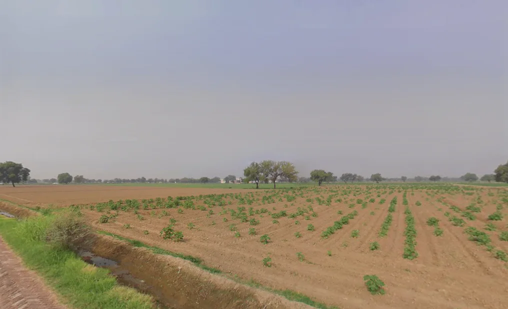 Khabran Kalan, Haryana 125053, India preview 3