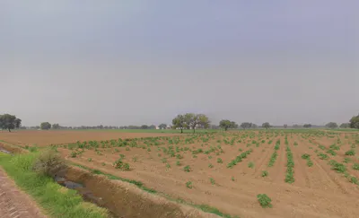 Khabran Kalan, Haryana 125053, India preview 3