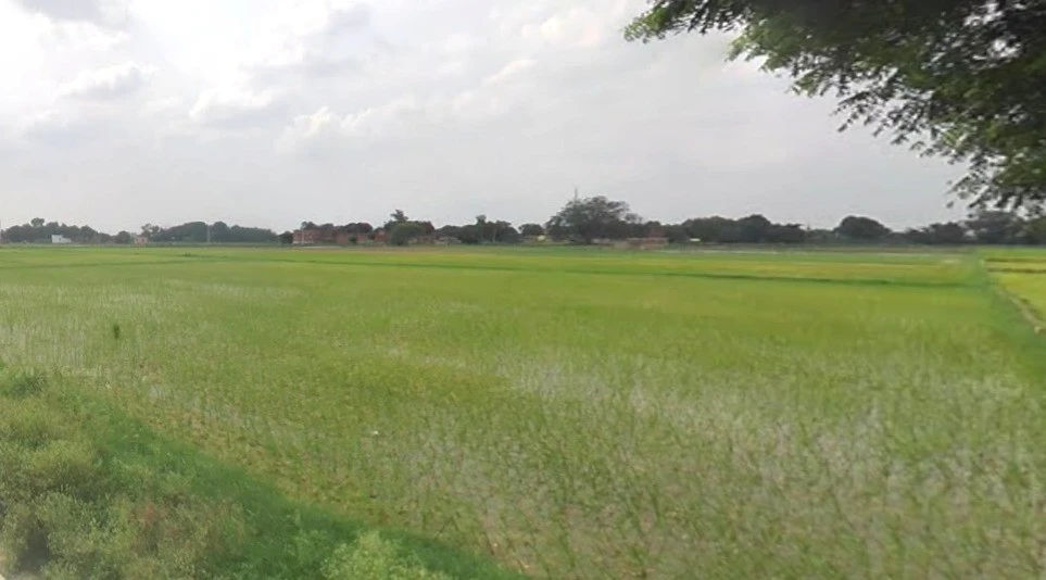 Nand, Madhya Pradesh 471525, India