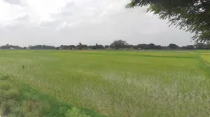 Nand, Madhya Pradesh 471525, India preview 3