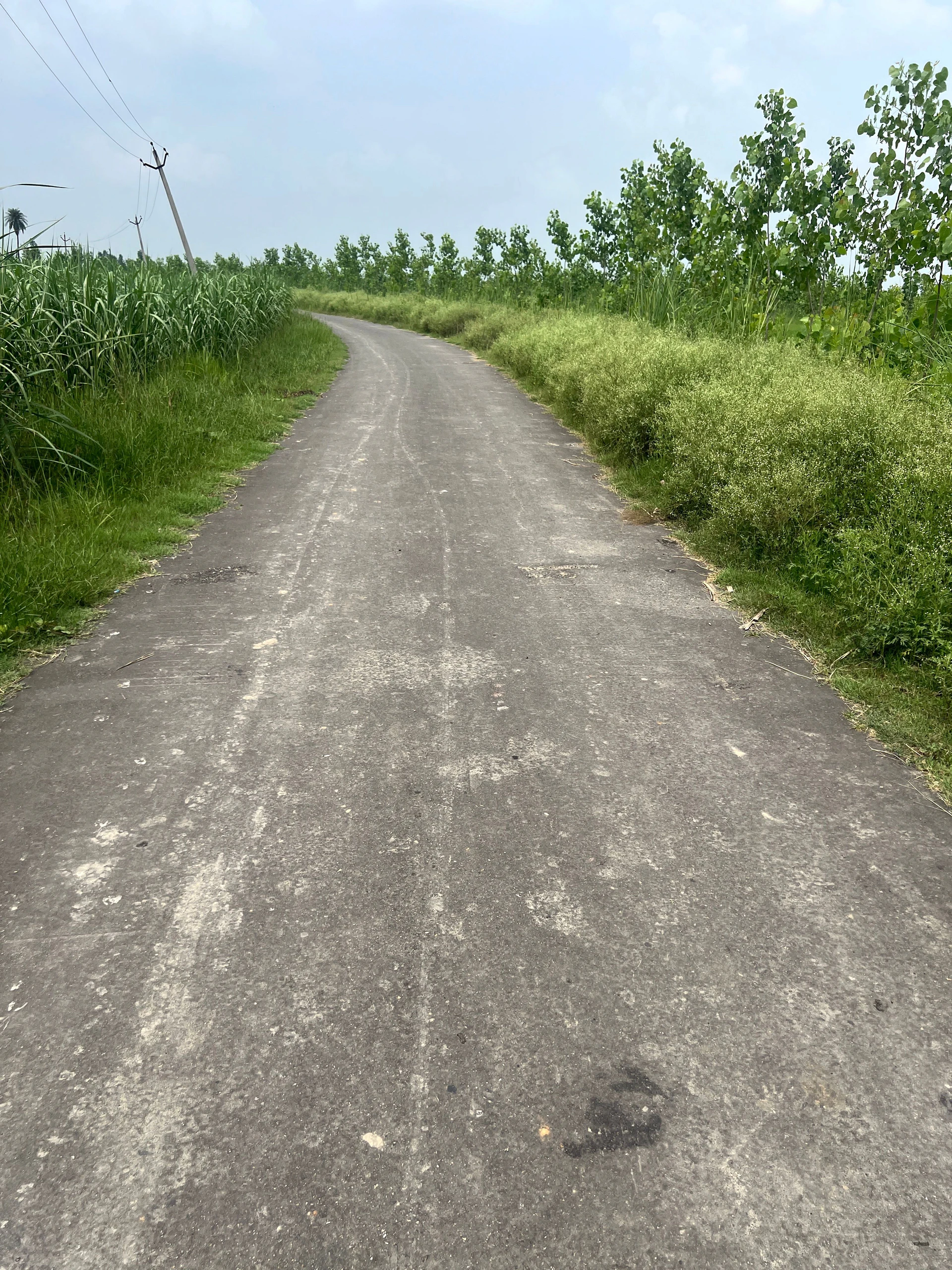 Mawana, Uttar Pradesh, India