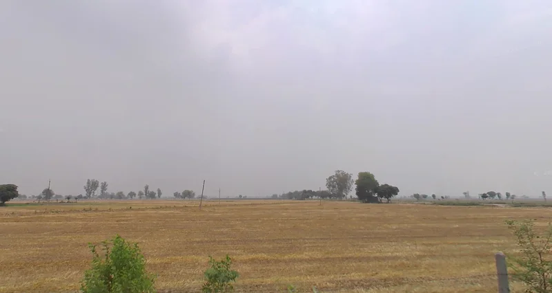 Devigarh Rd, Sunny Enclave, Raymajra, Punjab 147103, India preview 3