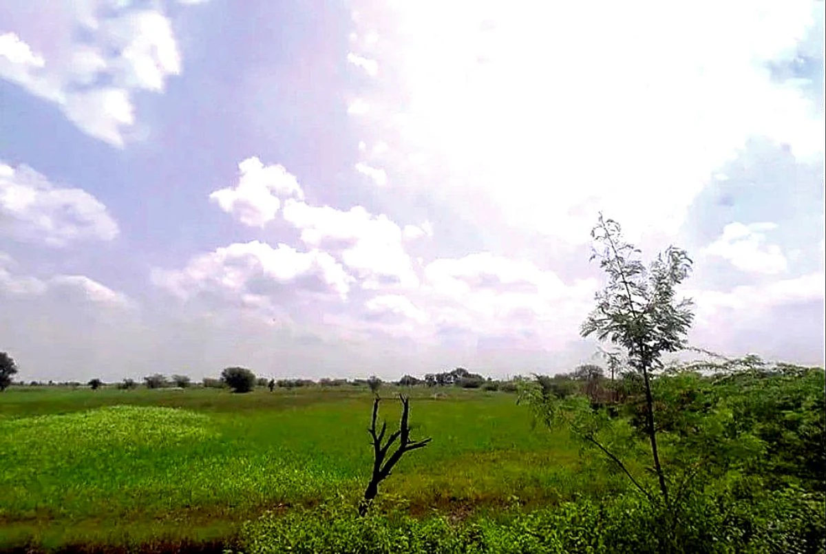 WC2C+QPG, Jobner- Asalpur - Boraj Rd, Jobner, Asalpur, Rajasthan 303328, India