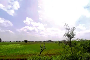 WC2C+QPG, Jobner- Asalpur - Boraj Rd, Jobner, Asalpur, Rajasthan 303328, India preview 3