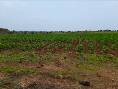 Sultanpur, Raisen, Madhya Pradesh 464986, India preview 3