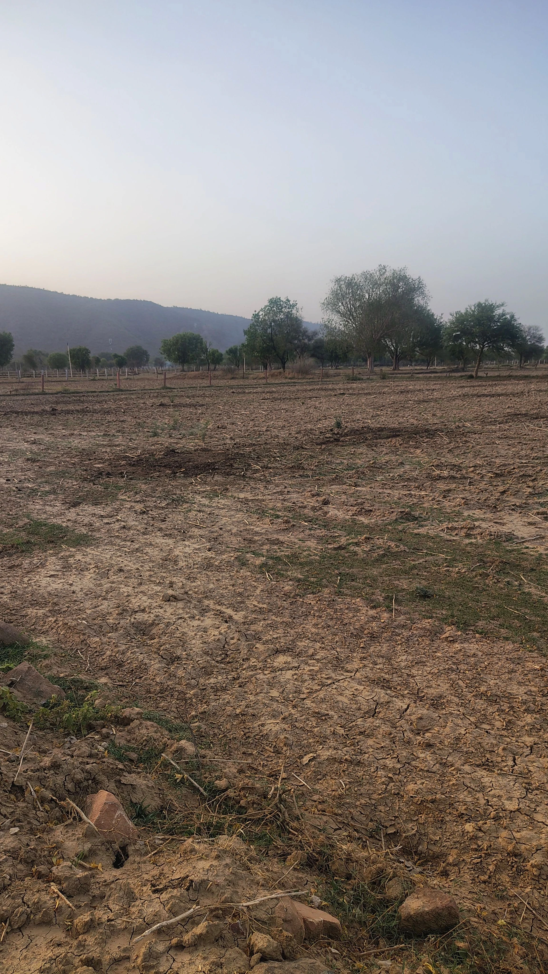 Khunteta Kalan, Rajasthan, India