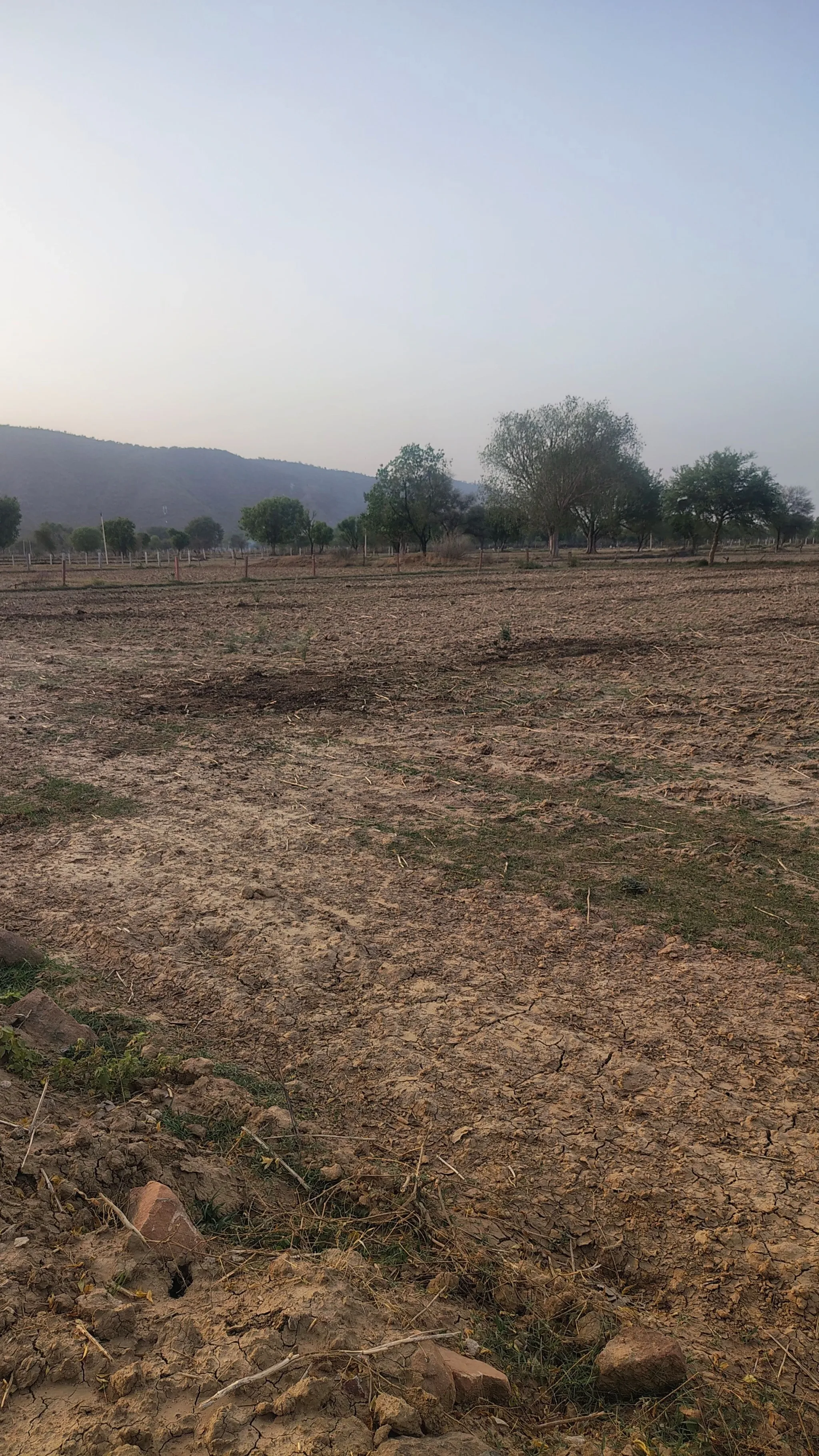 Khunteta Kalan, Rajasthan, India