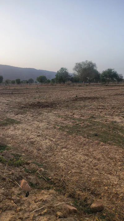 Khunteta Kalan, Rajasthan, India preview 2