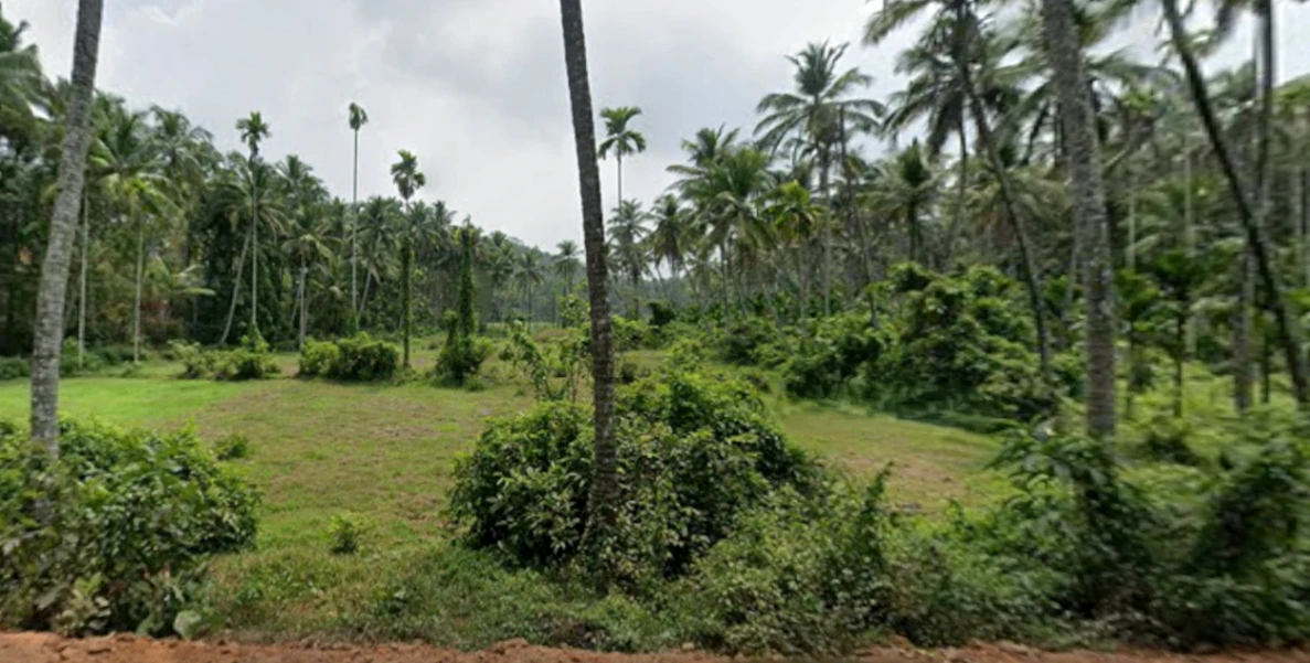 HQ75+HGC, EMS Hospital Rd, Menhaniam, Perambra, Kerala 673525, India