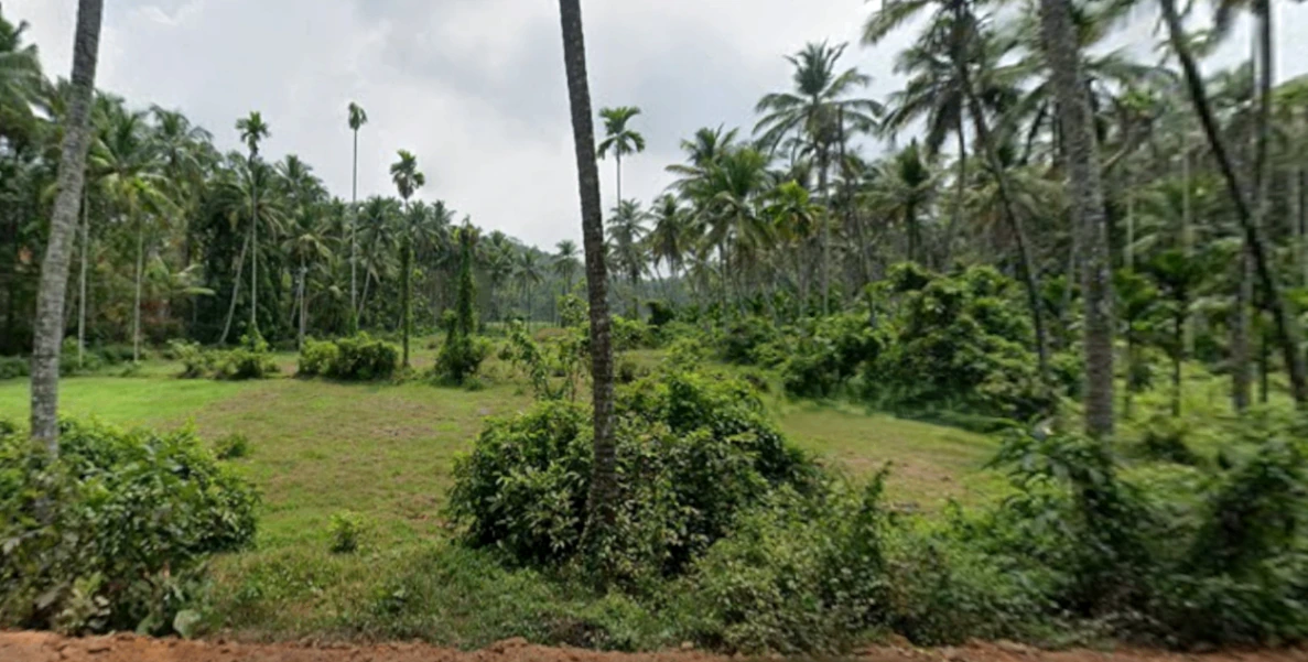 HQ75+HGC, EMS Hospital Rd, Menhaniam, Perambra, Kerala 673525, India