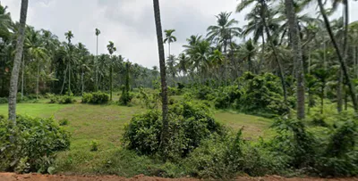 HQ75+HGC, EMS Hospital Rd, Menhaniam, Perambra, Kerala 673525, India preview 3