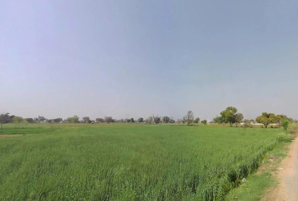 Bamboli, Rajasthan, India