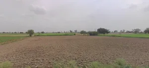 Deulti, West Bengal 711303, India preview 3