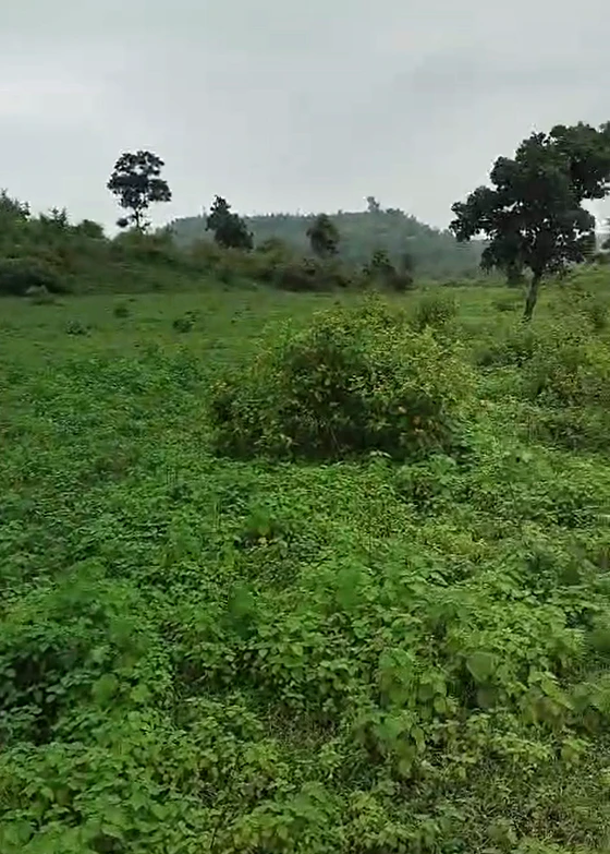 Bilpank, Ratlam, Madhya Pradesh 457441, India