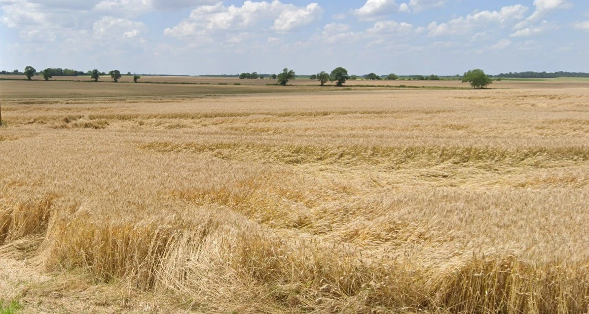 Sanchet, Madhya Pradesh, India