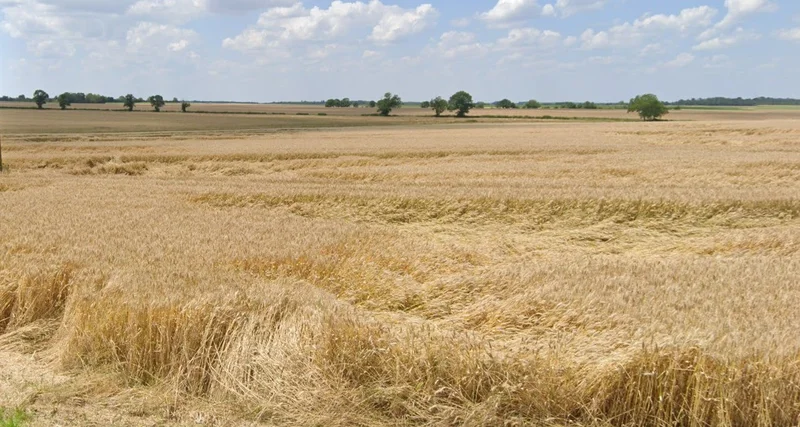 Sanchet, Madhya Pradesh, India preview 3