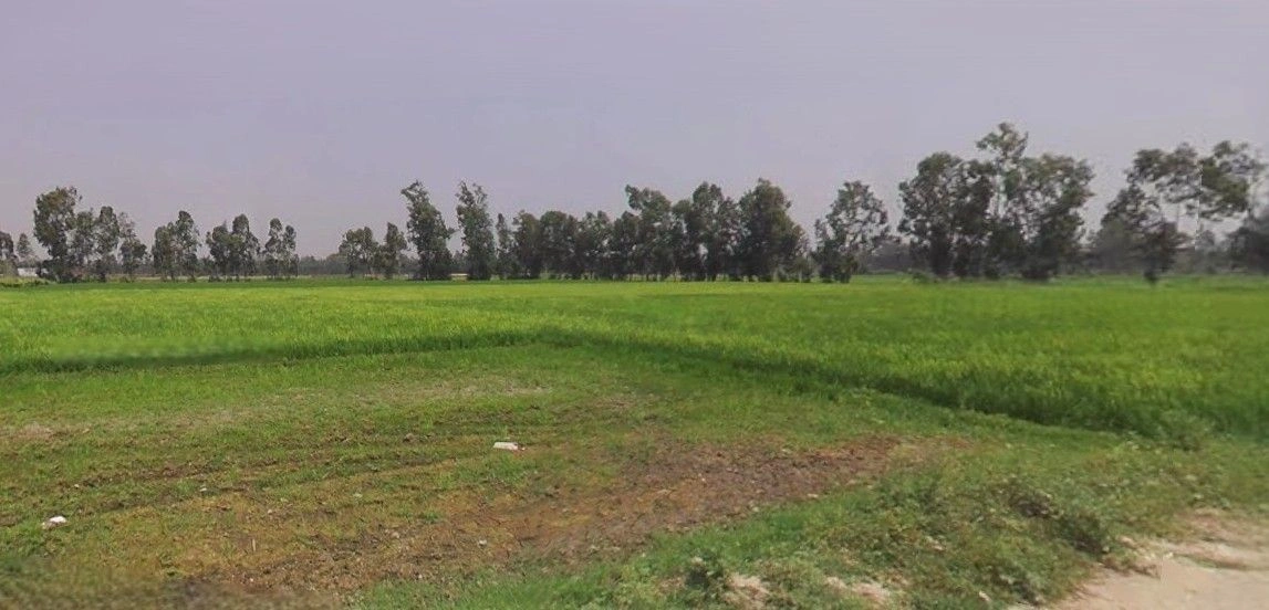 Lalpur, Uttar Pradesh 244924, India