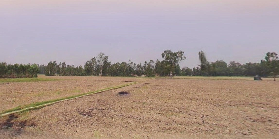 Mithanpur, Uttar Pradesh 246729, India