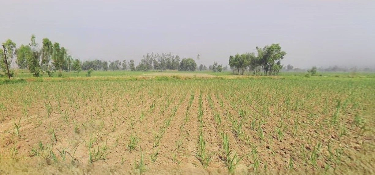 Thakurdwara, Uttar Pradesh 244601, India