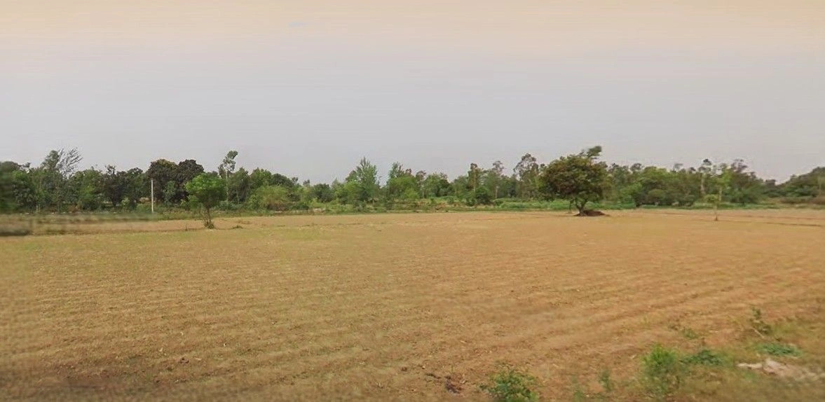 Chamarpura, Uttar Pradesh 244901, India