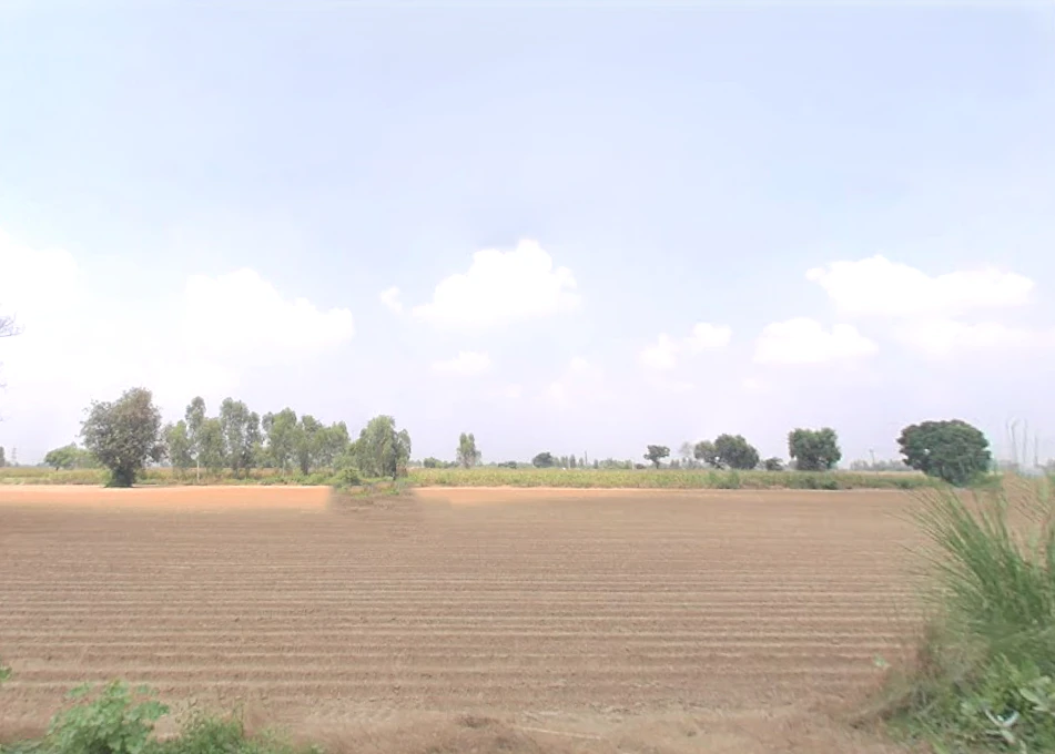 Sandila, Uttar Pradesh 241204, India